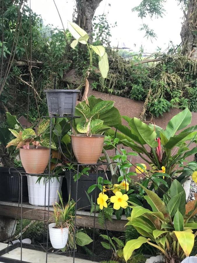 克里穆图 Jaya Hill Garden酒店 外观 照片
